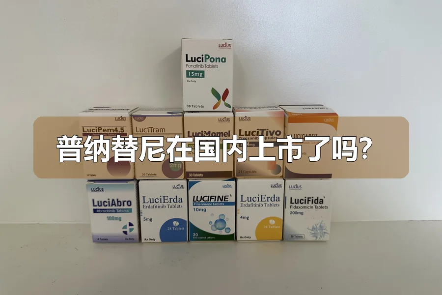 普纳替尼在国内上市了吗?